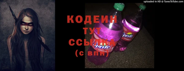 соль ск Арсеньев