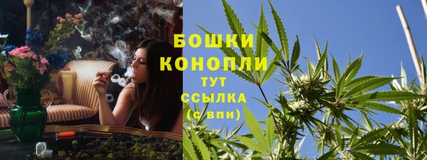 эйфоретик Аркадак
