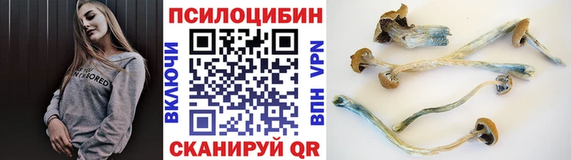 Галлюциногенные грибы Magic Shrooms  Грязовец 