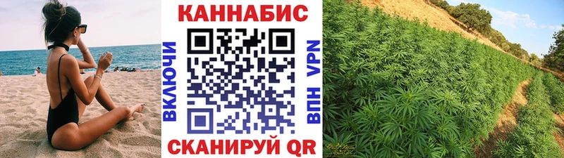 Марихуана индика  Грязовец 